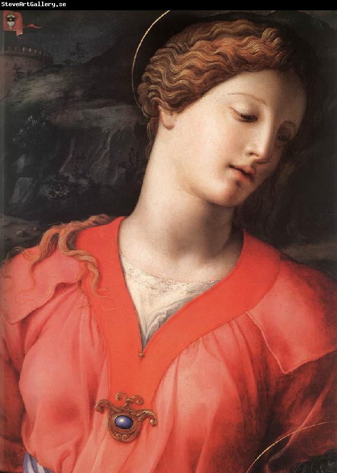 BRONZINO, Agnolo The Panciatichi Holy Family (detail) f